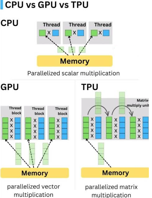 CPU vs GPU vs TPU